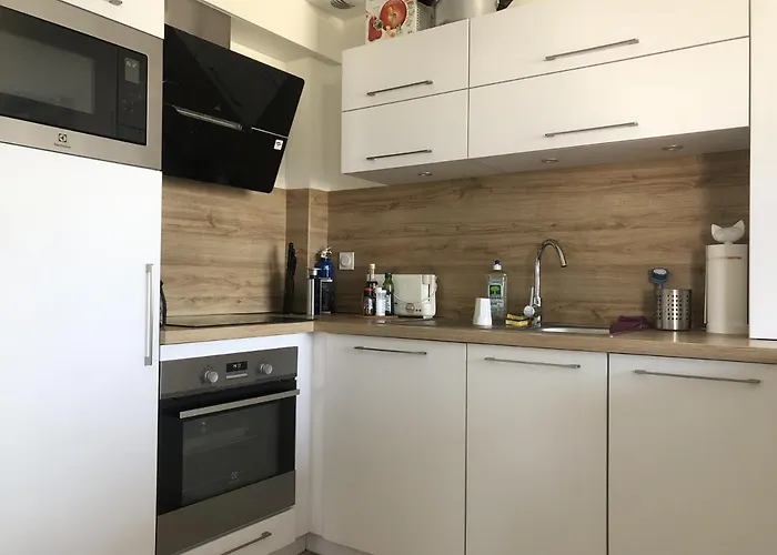 Palavas: Renove F3 Climatise Avec Parking, 1ere Ligne, Acces Plage, Ideal Pour 4 Pers. - Fr-1-715-36 Apartmán Palavas-les-Flots